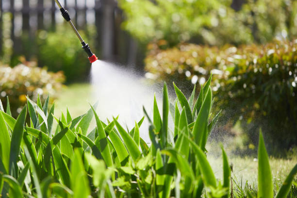 Tamper-Resistant Bait Stations for Rodents in Stow