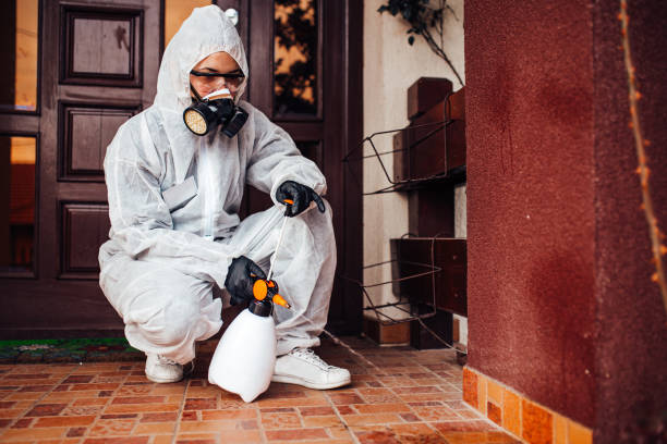 Attic and Crawl Space Rodent Treatment in Stow